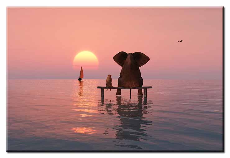 Modernes Leinwandbild - Beste Freunde - Elefant und Hund im Sonnenuntergang