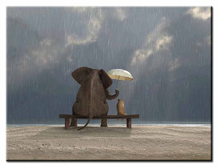 Modernes Leinwandbild - Beste Freunde - Elefant & Hund - Zusammen durch Wind und Wetter