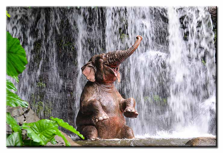 Modernes Leinwandbild - Badespass - Elefant vor Wasserfall
