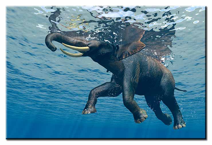 Modernes Leinwandbild - Jumbo Bubbles 2 - Elephant under water